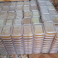 عسل|عمدهفروشی|یاسوج, |دیوار