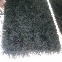 فرش|فرش|بومهن, |دیوار