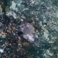 سنگ یشم معدنی