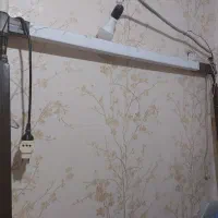 دار قالی تابلویی