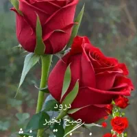 مطهری رهن کامل