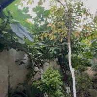 170متر/ویلای/نزدیک براصلی گلزاران/آماده دریافت سند