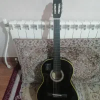 گیتار ایرانی