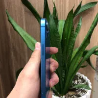 iPhone 13|موبایل|اصفهان, هفتون|دیوار