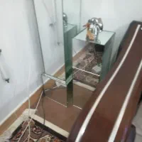 زیر گلدونی|گل و گیاه طبیعی|اهواز, بهارستان|دیوار