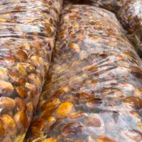 خرما گوشتی درجه یک ق‌ند بالا