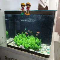 اکواریوم شرکتی شیشه خم درب دار با لوازم و ماهی شیک