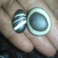 فروش سنگهای طبیعی ویترین|کلکسیون و سرگرمی|تهران, ابوذر|دیوار