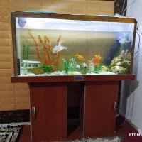 آکواریوم زیبا