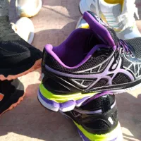 حراجی  همه مدل کتونی کفش پوتین  جکس