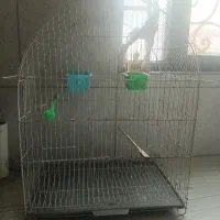 قفس پرنده