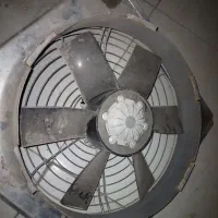 فن هواکش|پنکه و تصفیه‌کنندهٔ هوا|زنجان, |دیوار