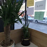 خریدار اعتبار