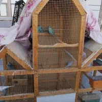 قفس بزرگ پرنده