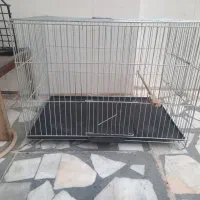 قفس پرنده