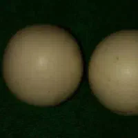 سنگ آسیاب اصلی