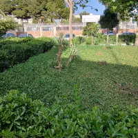 استخدام قلیان زن ، سری زن