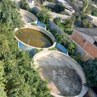 پرورش ماهی|استخدام صنعتی، فنی، مهندسی|کردکوی, |دیوار