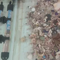 اکواریوم شیشه خم