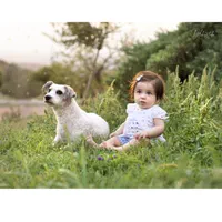 آتلیه تخصصی عکس کودک بارداری عروسی اولدوز در سهند|خدمات پذیرایی، مراسم|سهند, |دیوار