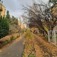 اجاره 90متری 2خواب بازسازی شده(بلوکهای شهرزیبا)|اجارهٔ آپارتمان|تهران, شهر زیبا|دیوار