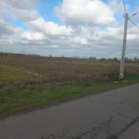 زمین-کشاورزی-بر-آسفالت