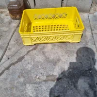 سبد گوشت  فروشگاهی