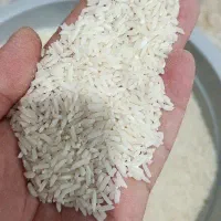 فروش برنج هاشمی تالش