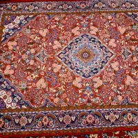 زرع ونیم دستباف|فرش|تهران, ایوانک|دیوار