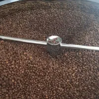 فروش انواع دان قهوه