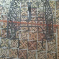 سبد موتور tvs تی وی اس