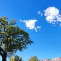 طبیعت گردی خانوادگی
