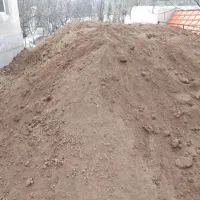 فروش کود حیوانی|خدمات باغبانی و درختکاری|تنکابن, |دیوار