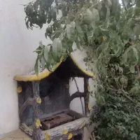 خانه ویلایی نوساز مهندسی با سازه بتنی روستای میم|فروش خانه و ویلا|قم, جهان بینی|دیوار