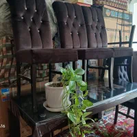 ناهار خوری ۸نفره در حد نو