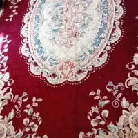 قالی ۱۲متری