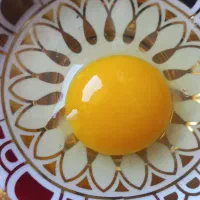 تخم‌ مرغ محلی|خوردنی و آشامیدنی|رشت, سلیمانداراب|دیوار