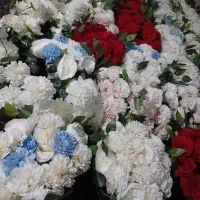 گل پنلی