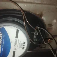 باند خربزه ای مکسیدر