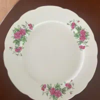 پلو خوری وپیش دستی گل سرخ وپیرکس