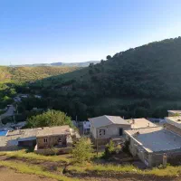 سوییت  ژیان