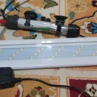 آکواریوم|ماهی|سنندج, |دیوار