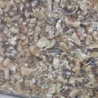 مغز گردو دندانه و بادام هندی ال پی