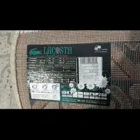 گلیم فرش|گلیم، جاجیم، گبه|ری, هاشمآباد|دیوار