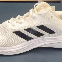 کتونی آدیداس|کیف، کفش، کمربند|رشت, کاکتوس|دیوار