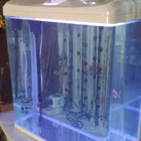 آکواریوم ماهیران|ماهی|اصفهان, رهنان|دیوار