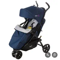 کالسکه تک مکس دلیجان