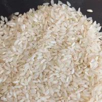 برنج کامفیروز