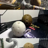 شمع فانتزی|صنایع دستی و سایر لوازم تزئینی|برازجان, |دیوار