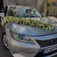 گل آرایی ماشین عروس در محل شما|خدمات پذیرایی، مراسم|تهران, مسعودیه|دیوار